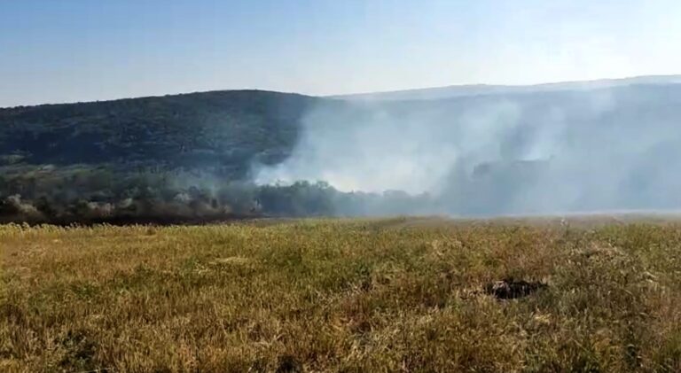 VIDEO Cel mai mare incendiu de vegetație uscată, din 2025. Au ars zeci de hectare, peste 45 de militari și voluntari implicați