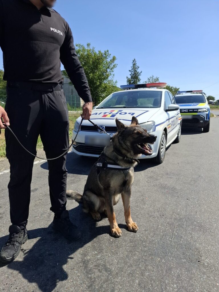 Un alt zmeu la volan, fără permis. La doar 20 de ani, a fost prins de polițiști la Bălteni