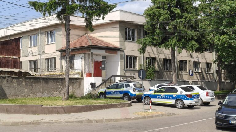 Tâlhărie, noaptea, pe varianta de ocolire a Vasluiului. O tânără de 24 de ani a ajuns în arest