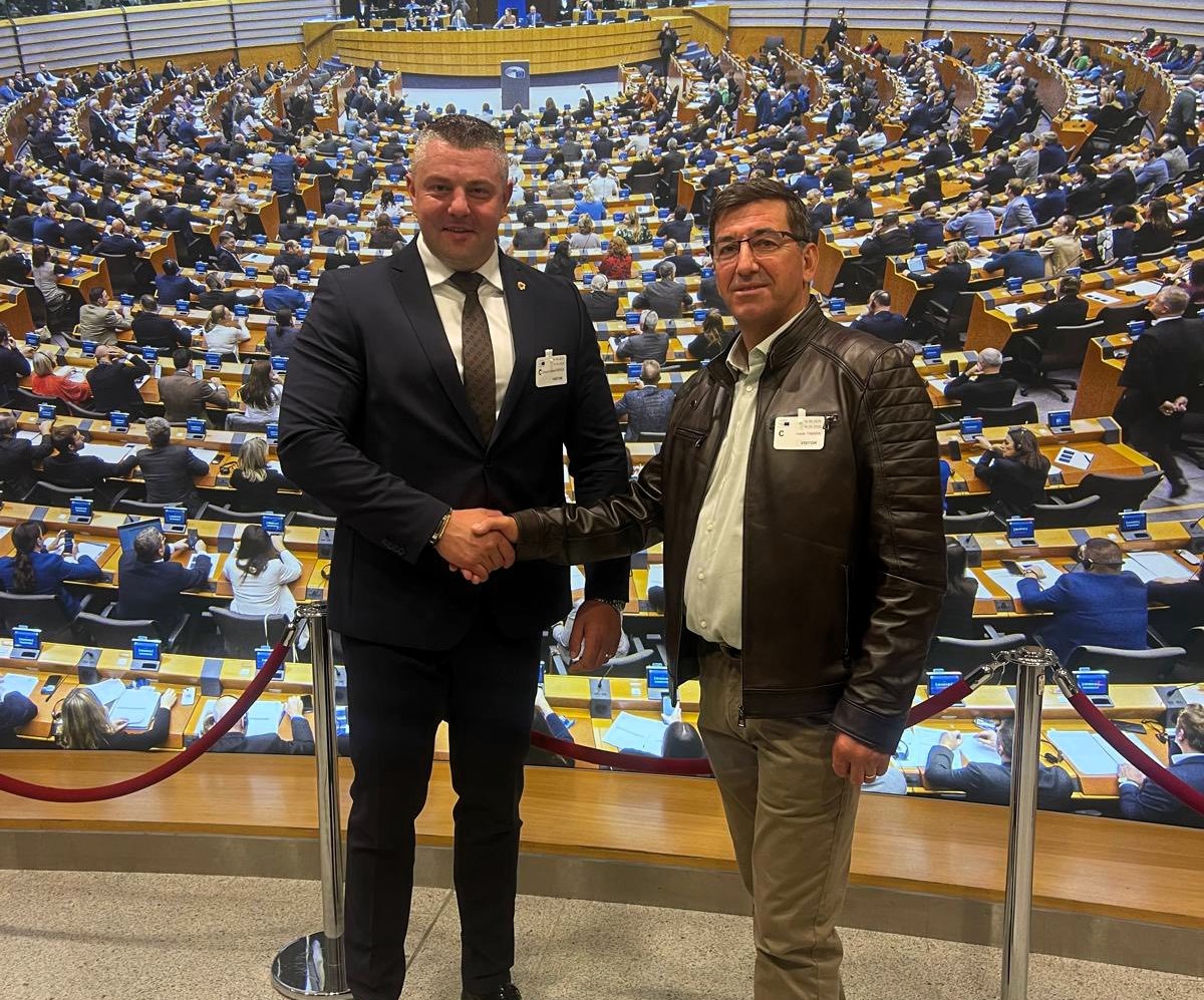 edi popica bruxelles 2