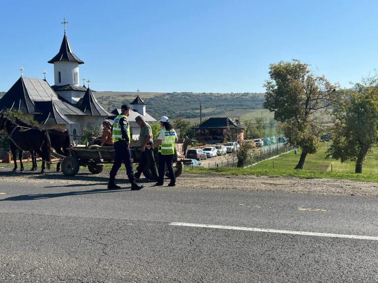 Polițiștii vasluieni au făcut filtre în județ pentru depistarea hoților de lemne