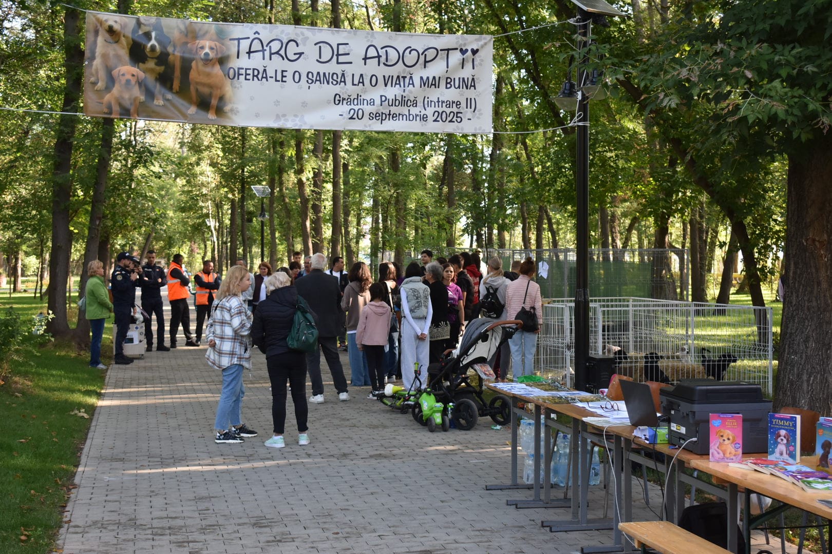 targ adoptii caini barlad 222