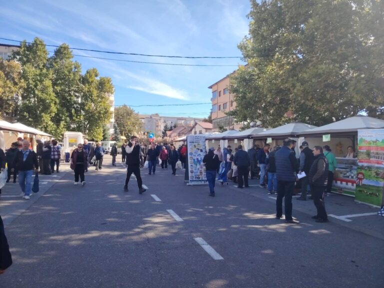 VIDEO Vremea este frumoasă, sunteți așteptați la Piața Traian, la Ziua Recoltei!