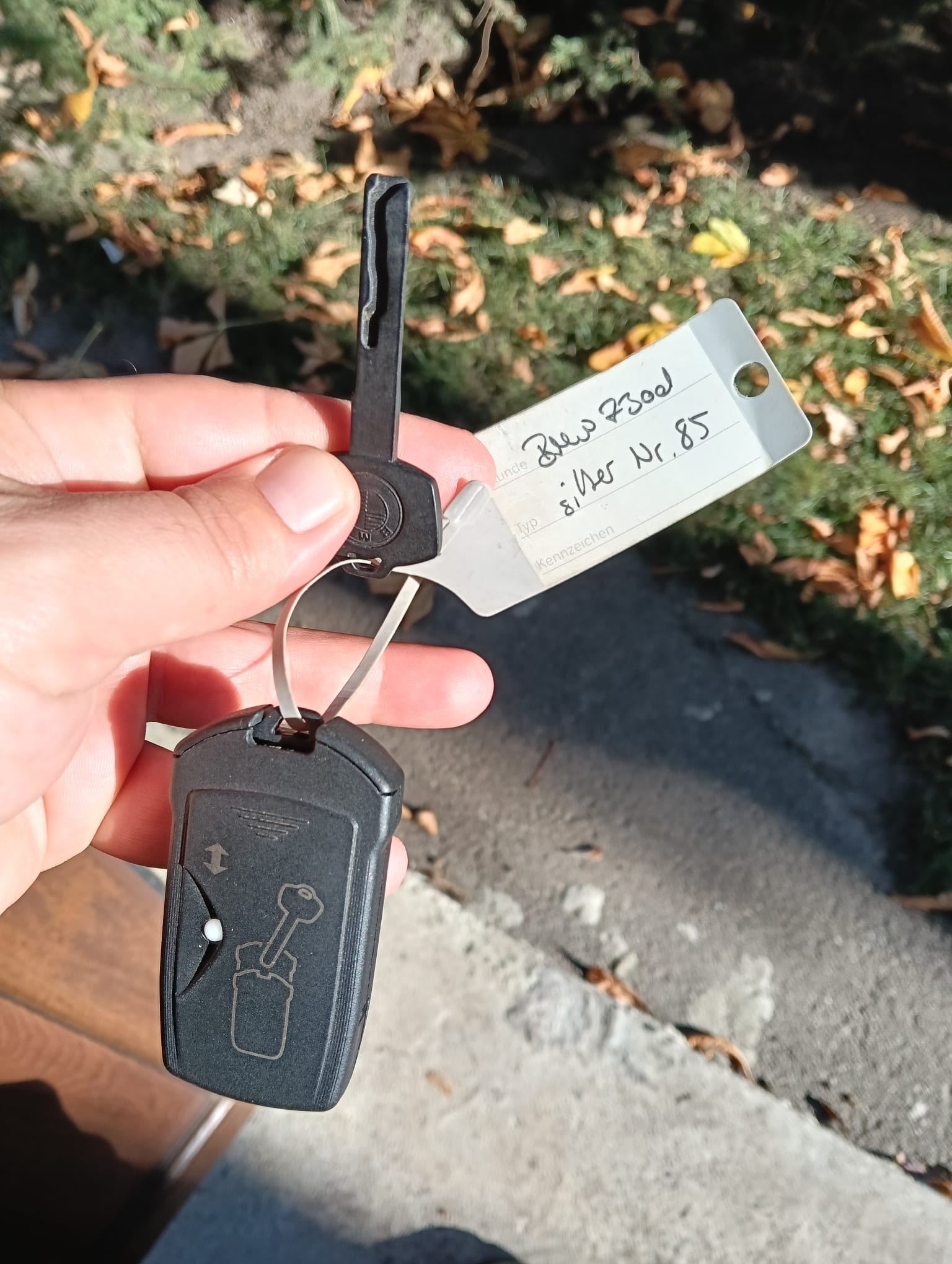 Cheie de autoturism găsită în Parcul Copou. Ce anunț a făcut Poliția Locală Vaslui 1 572799143 1292136942948531 5857260135807621528 n
