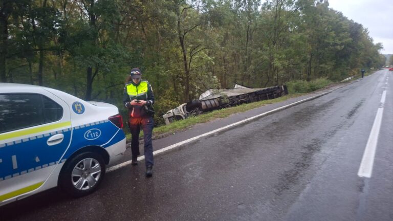 Un TIR încărcat cu pui, de la Vanbet, a ajuns în șanț, la Mărul de Aur. Șoferul a fugit