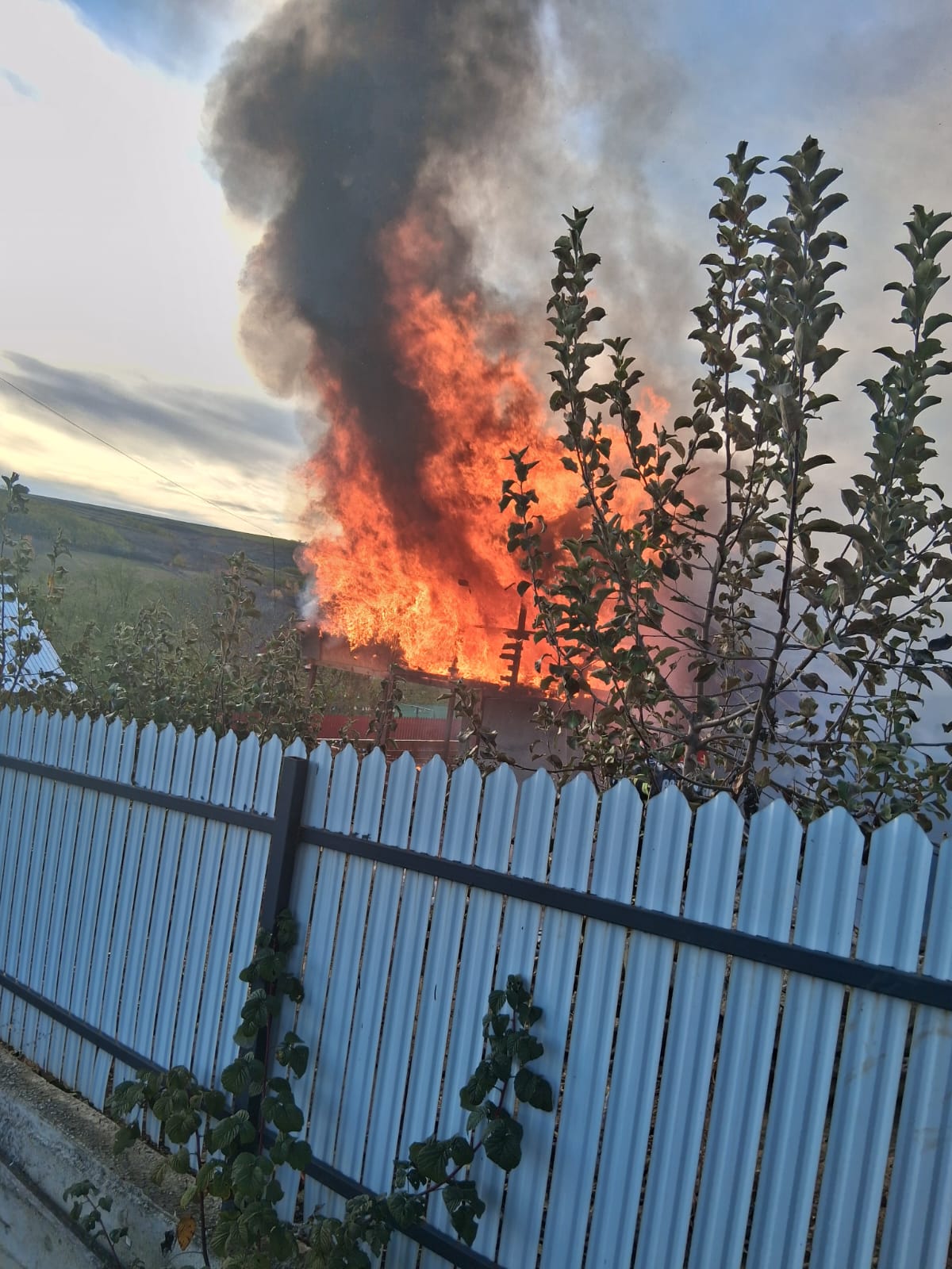 incendiu barzesti 1111