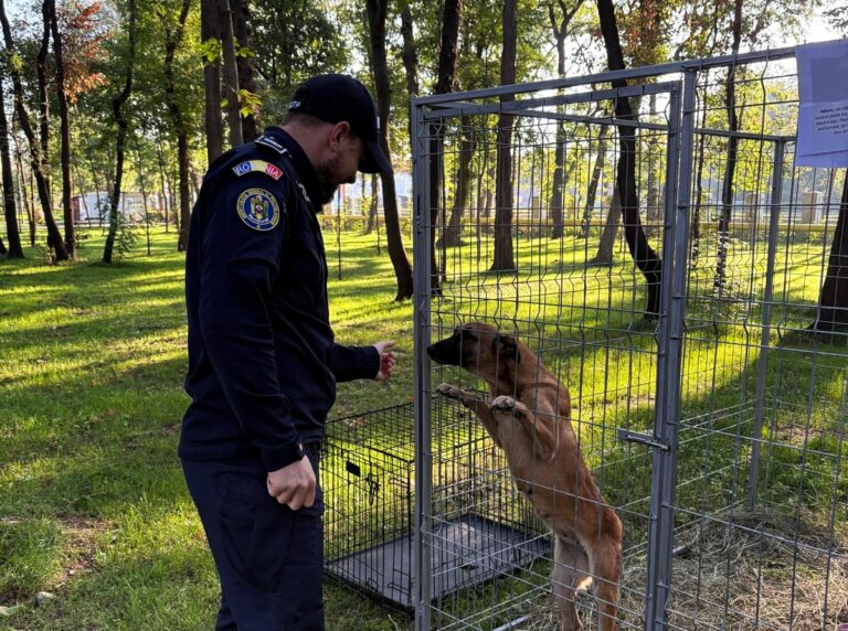 Doi frați din Ivești au torturat un câine, în văzul tuturor. Au fost reținuți