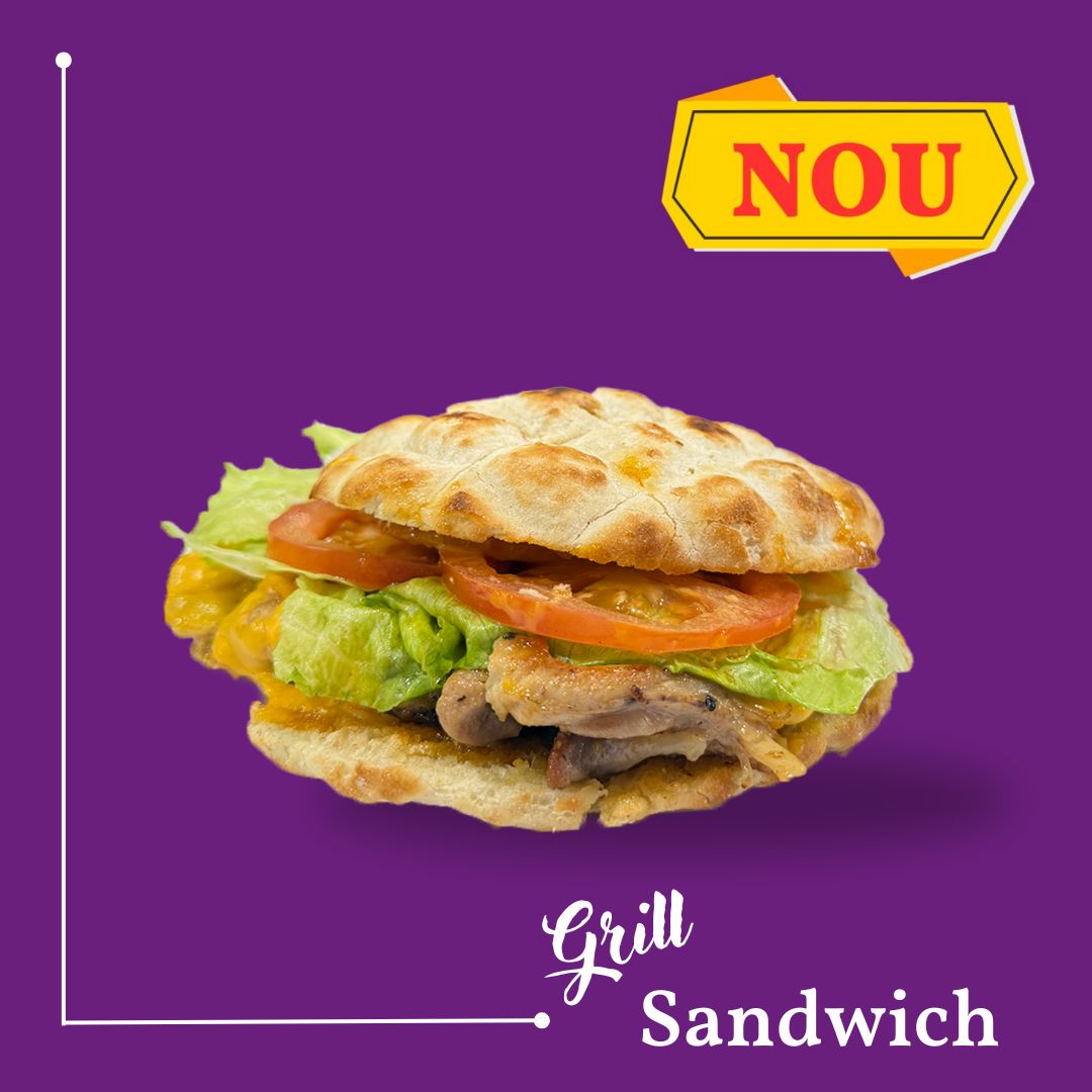 grill sandwich familia safir rotiserie 2