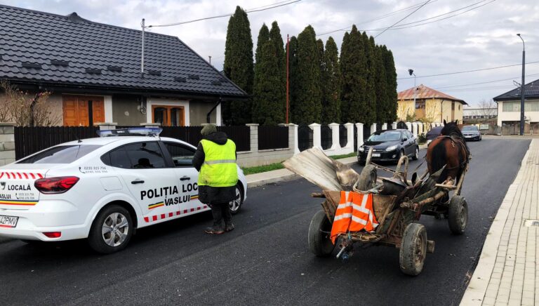 Poliția Locală Vaslui este cu ochii pe căruțașii care circulă ilegal prin oraș