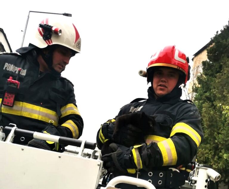 Pisicuță salvată de pompierii militari bârlădeni, după o intervenție perfectă