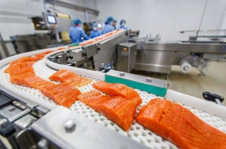Se caută muncitori pentru fabricile de prelucrare a somonului, în Norvegia