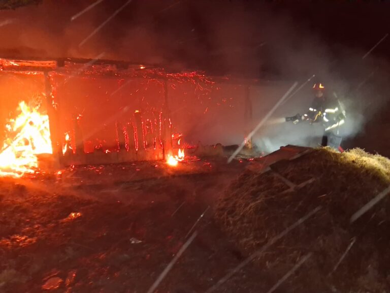 Incendiu la un grajd de animale în Portari, comuna Zăpodeni