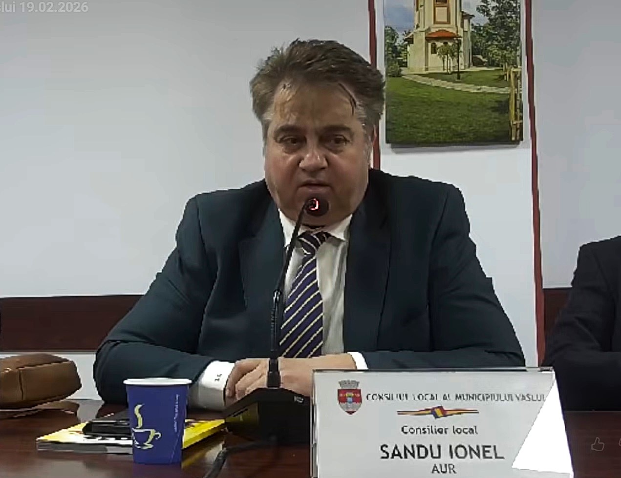 ionel sandu cl vaslui 2012