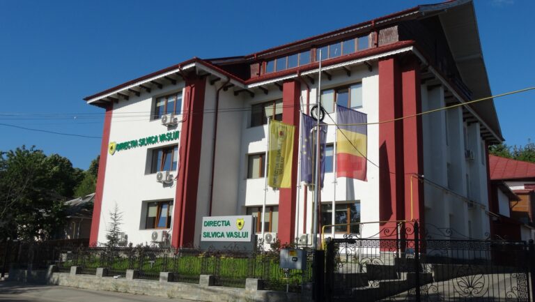 Guvernul a aprobat: Direcția Silvică Vaslui se desființează și trece în subordinea Bacăului!