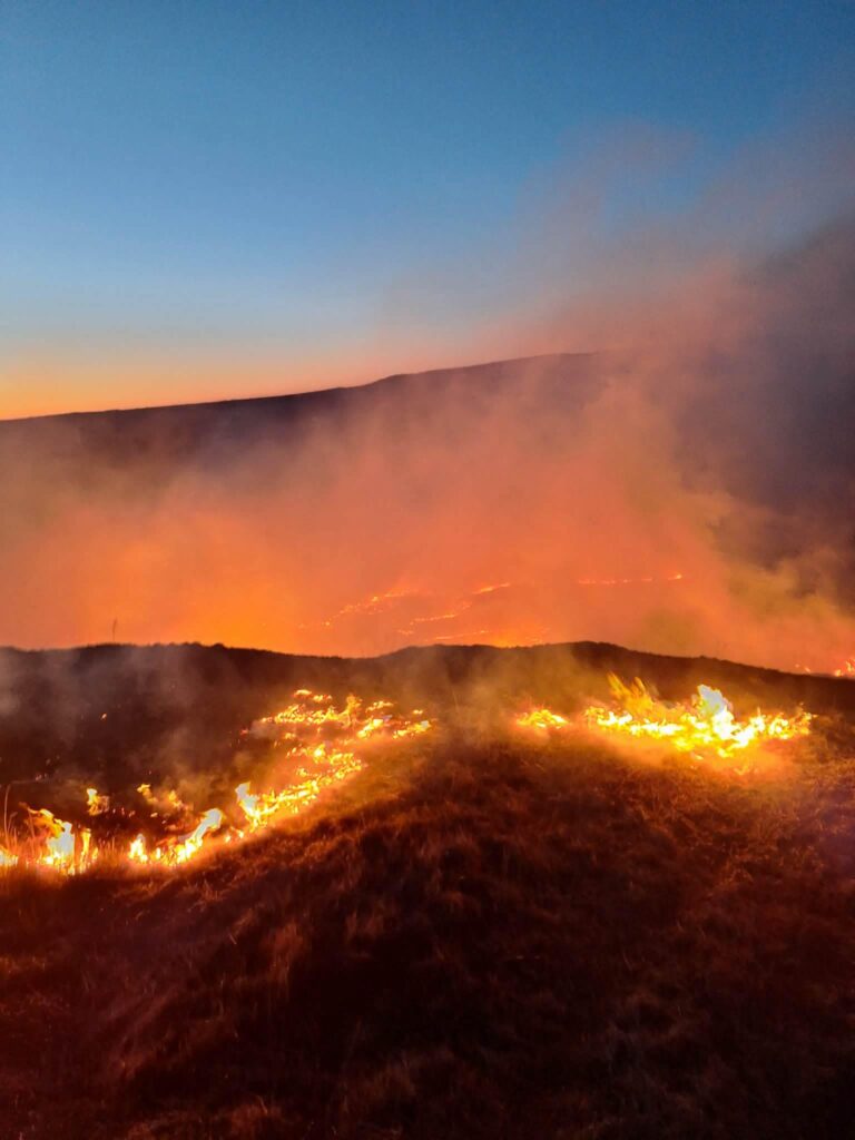 La un pas de tragedie, în Dumești. Un iresponsabil era să incendieze biserica și cimitirul comunal!