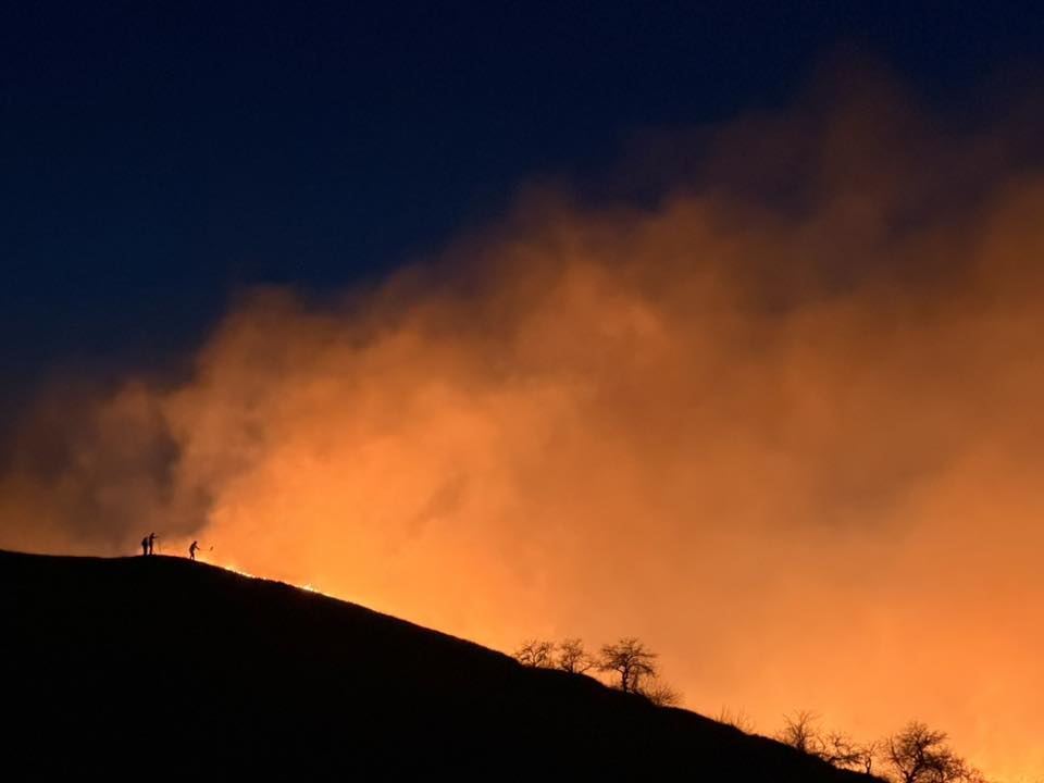 dumesti incendiu de vegetatie 32