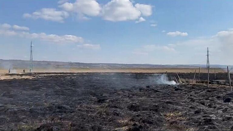 Încă un incendiu de vegetație – al câtelea, oare? – lângă Vaslui