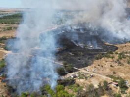 BREAKING: Incendiu de vegetație în comuna Oltenești. Pompierii intervin la Târzii