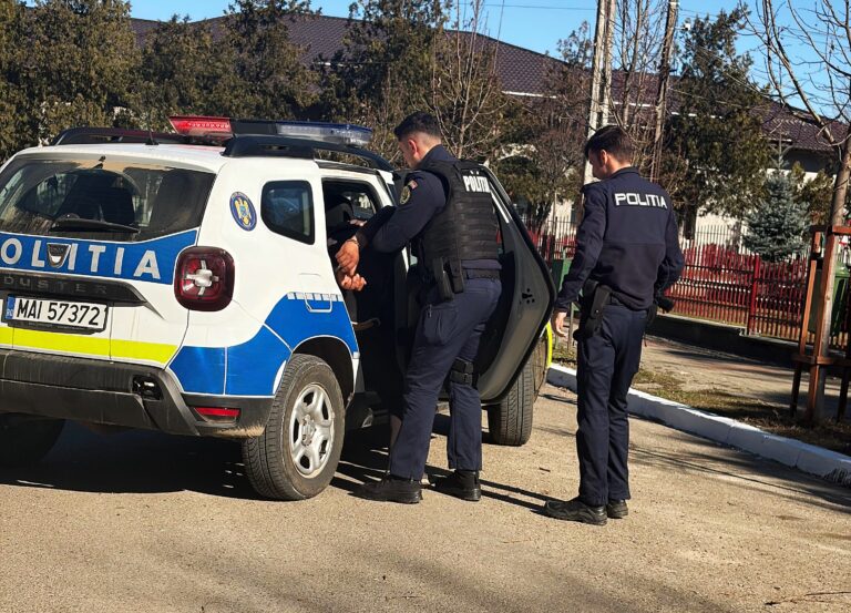 Scene dramatice într-un sat din comuna Solești. Doi frați bătăuși au fost reținuți