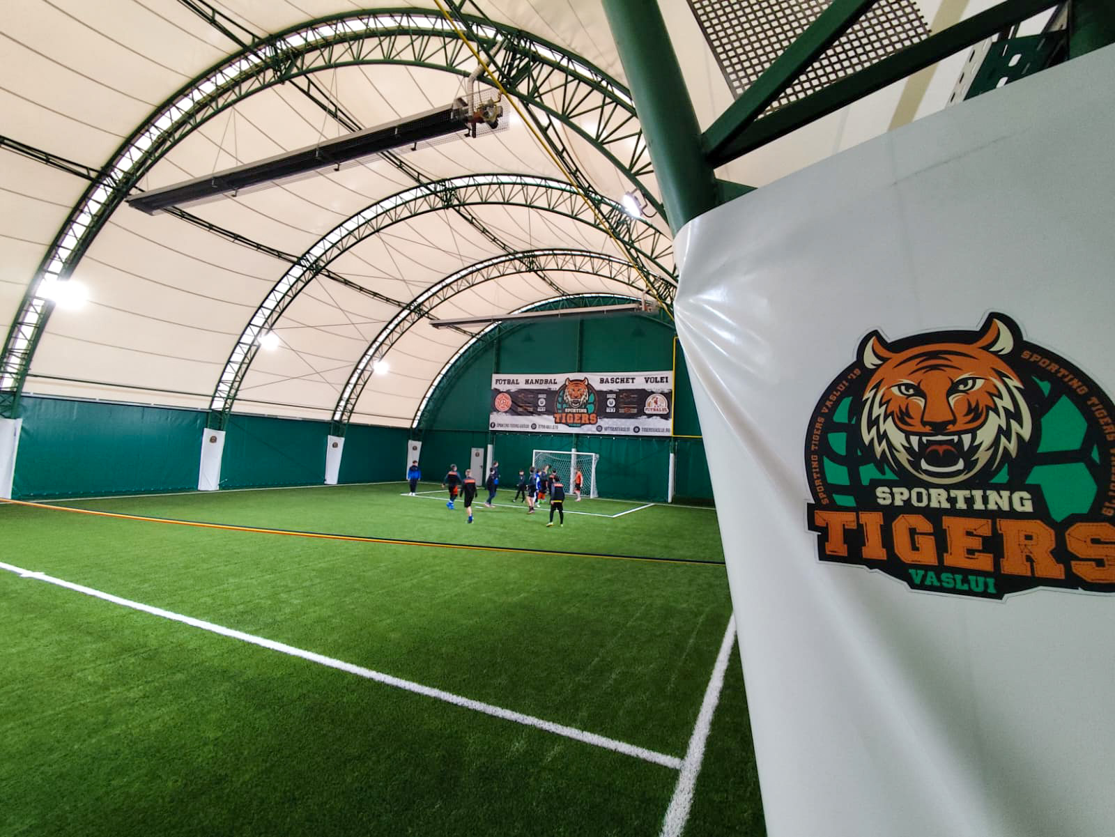 tigers 5