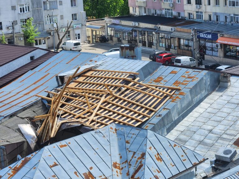 Un copac a căzut peste o mașină, în spatele Tribunalului Vaslui. Probleme în tot județul