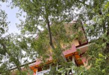 Arbore căzut în municipiul Bârlad. Pompierii au intervenit pentru înlăturarea pericolului