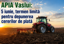 Fermierii din Vaslui mai au timp până pe 5 iunie să depună cererile la APIA