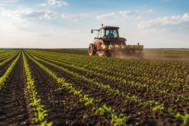 Direcția Agricolă Vaslui începe recensământul suprafețelor cultivate în primăvara anului 2026