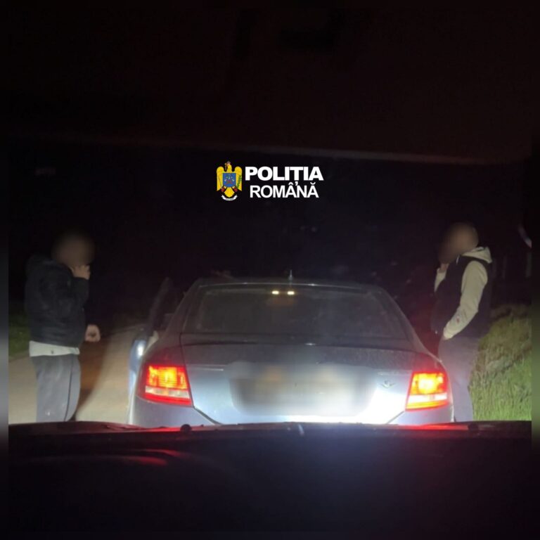 Dosar penal pentru un bărbat din Solești, prins fără permis la volan pe DN24