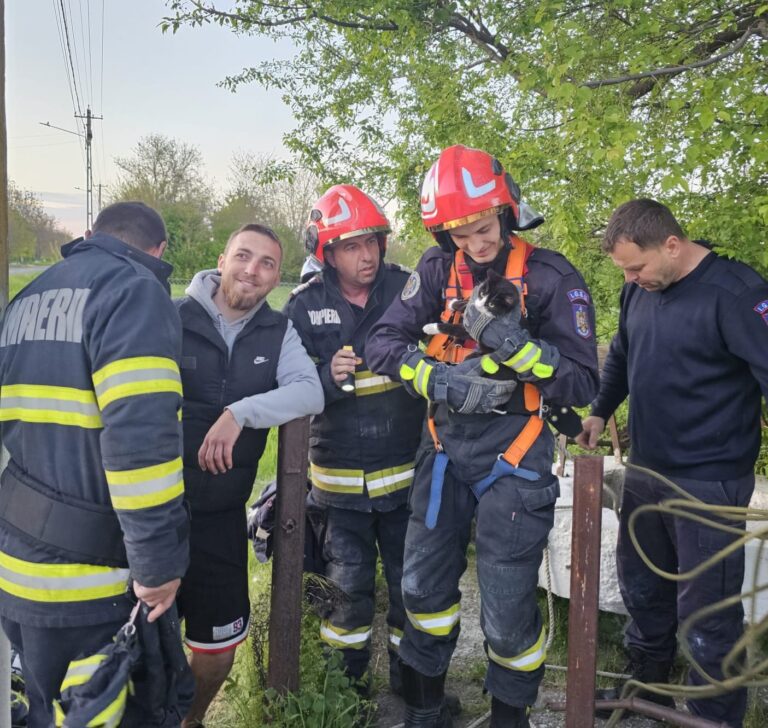 Intervenție dificilă la Cârja: pisică scoasă de pompieri, dintr-o fântână adâncă de 7 metri
