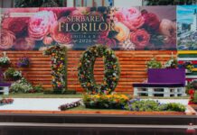 Serbarea Florilor a adus o explozie de culoare în centrul municipiului Vaslui. Duminică, ultima zi