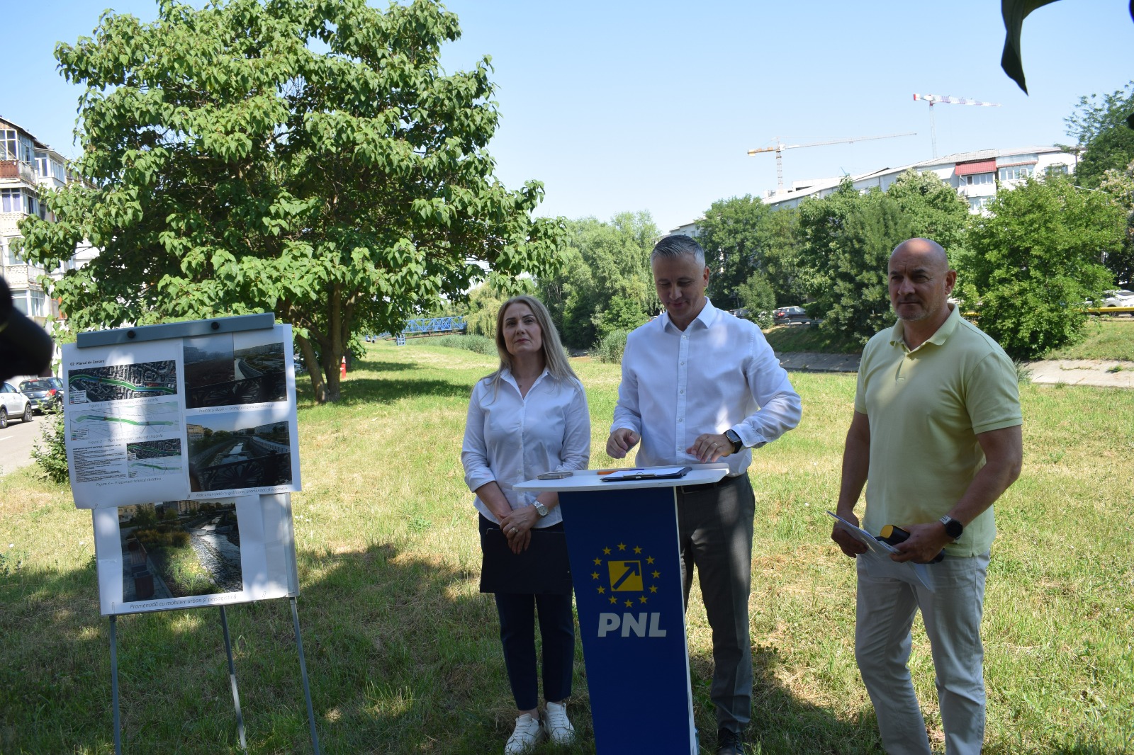 arcaleanu anicai trifan proiecr delea