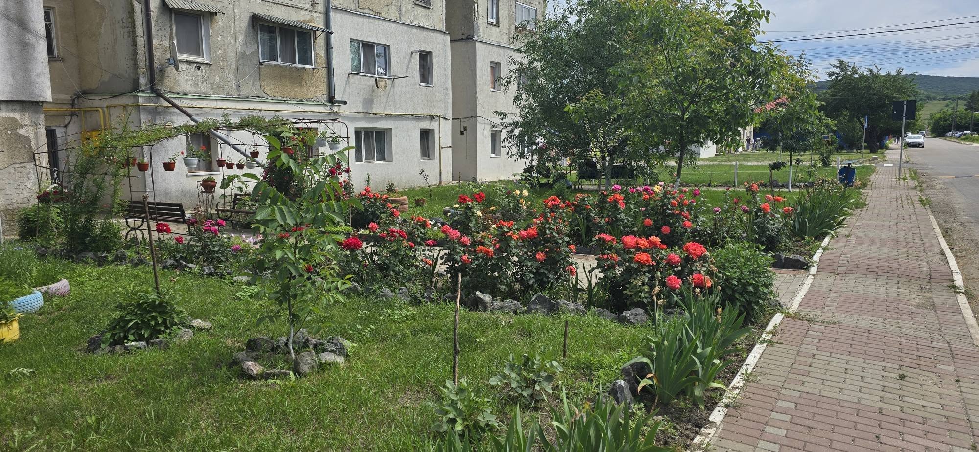 bloc flori negresti 212