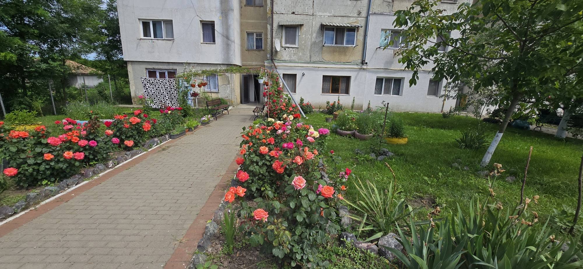 bloc flori negresti 22