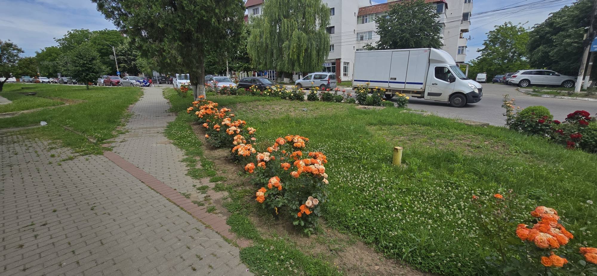 bloc flori negresti 252