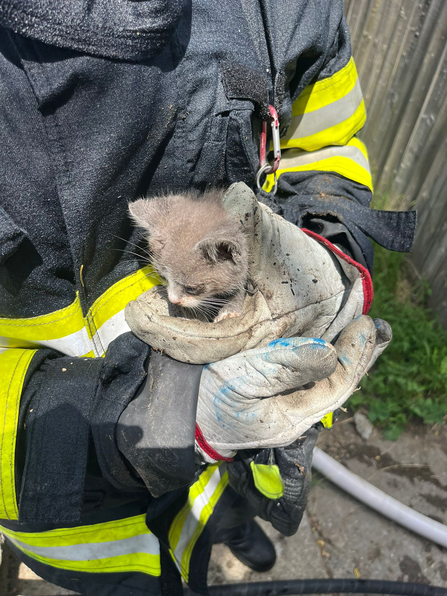 Incendiu devastator la Brodoc. O casă a fost mistuită de flăcări, animale salvate în ultima clipă 2 incendiu brodoc 79