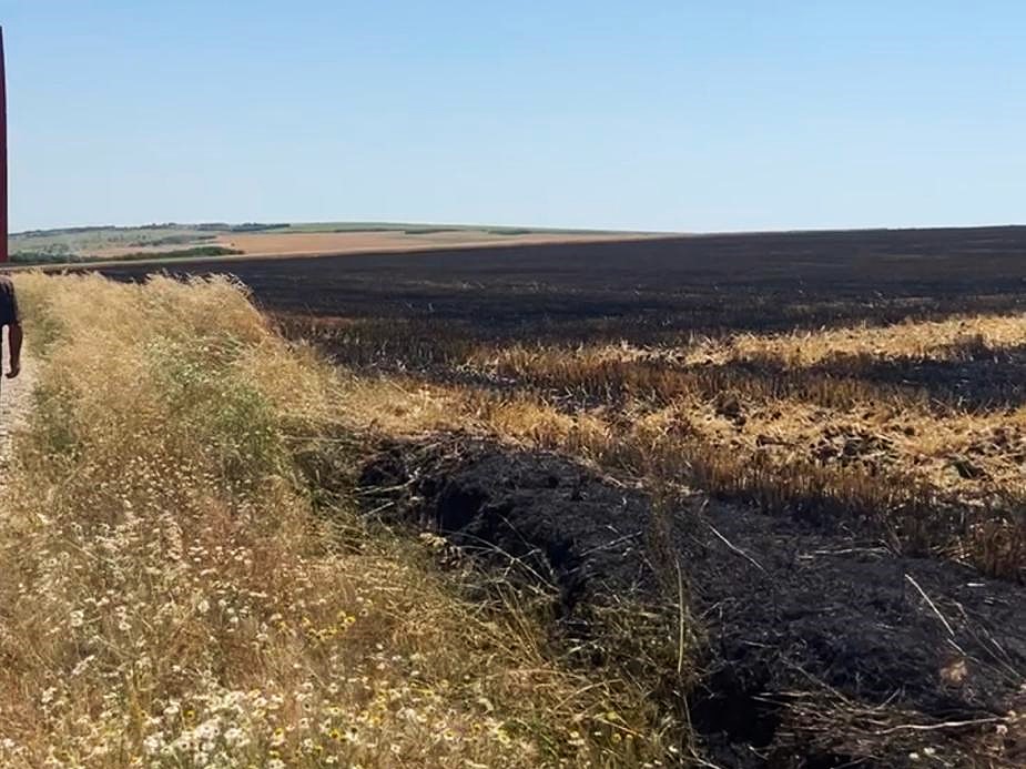 Poza pentru articolul Incendiu puternic la Hurdugi: au fost făcute scrum opt hectare de vegetație și un hectar de grâu