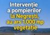 Flăcări pe 1.000 de metri pătrați la Negrești. Intervenție promptă a pompierilor