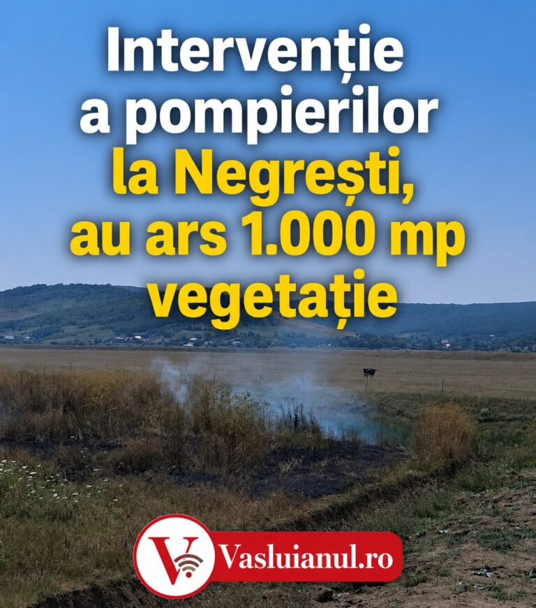 Flăcări pe 1.000 de metri pătrați la Negrești. Intervenție promptă a pompierilor