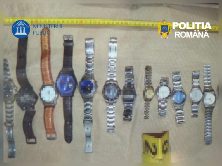 IPJ: Descindere în Drânceni. Polițiștii au confiscat bunuri suspectate că au fost furate din Italia