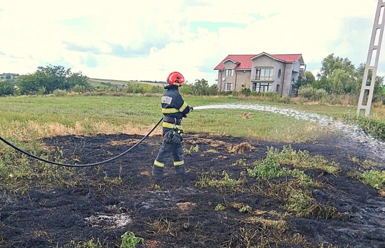 Incendiu de vegetație la Crâng, Ciocani. Pompierii din Bârlad au împiedicat extinderea flăcărilor