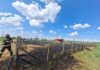 Incendiu de vegetație la Muntenii de Jos. Pompierii au împiedicat extinderea flăcărilor