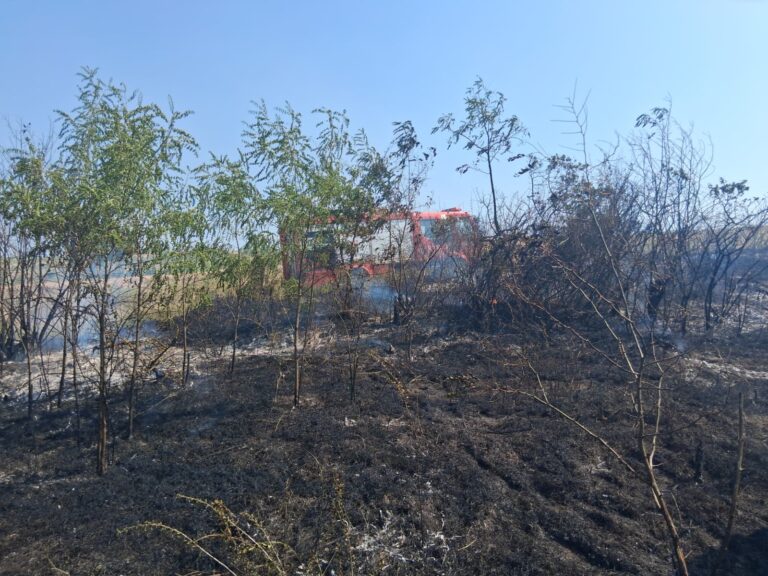 Incendiu de vegetație, în comuna Ștefan cel Mare. Pompierii au împiedicat extinderea flăcărilor