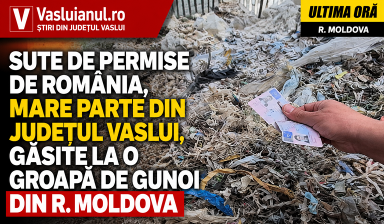 VIDEO Sute de permise de conducere din Vaslui, găsite la o groapă de gunoi din Republica Moldova