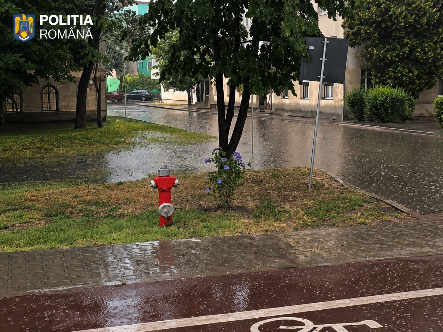 VIDEO IPJ Vaslui, recomandări pentru populație în timpul furtunii: Evitați deplasările și nu vă adăpostiți sub copaci 2 politia ipj inundatii vaslui 23