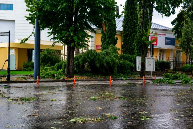VIDEO Copac doborât de furtună, în curtea PSD Vaslui