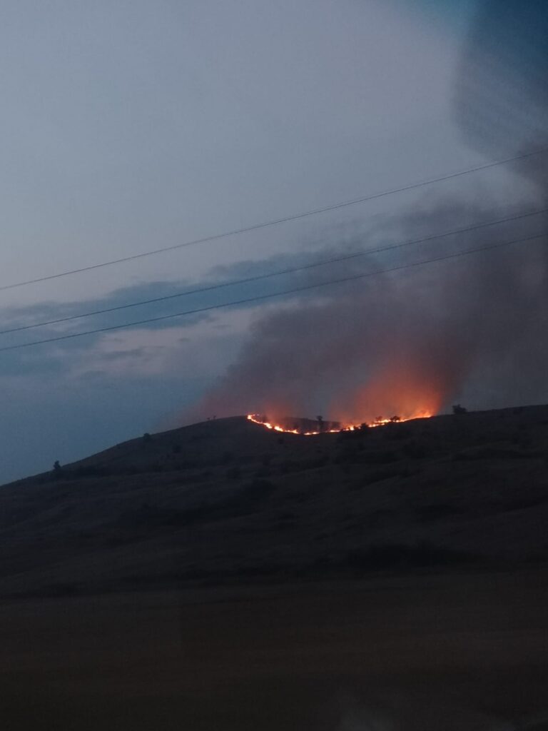 Peste 40 de hectare de vegetație, mistuite de flăcări la Dragomirești