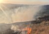 VIDEO Flăcări pe câmpurile de la Zorleni. Pompierii au salvat 100 de hectare de porumb și floarea-soarelu