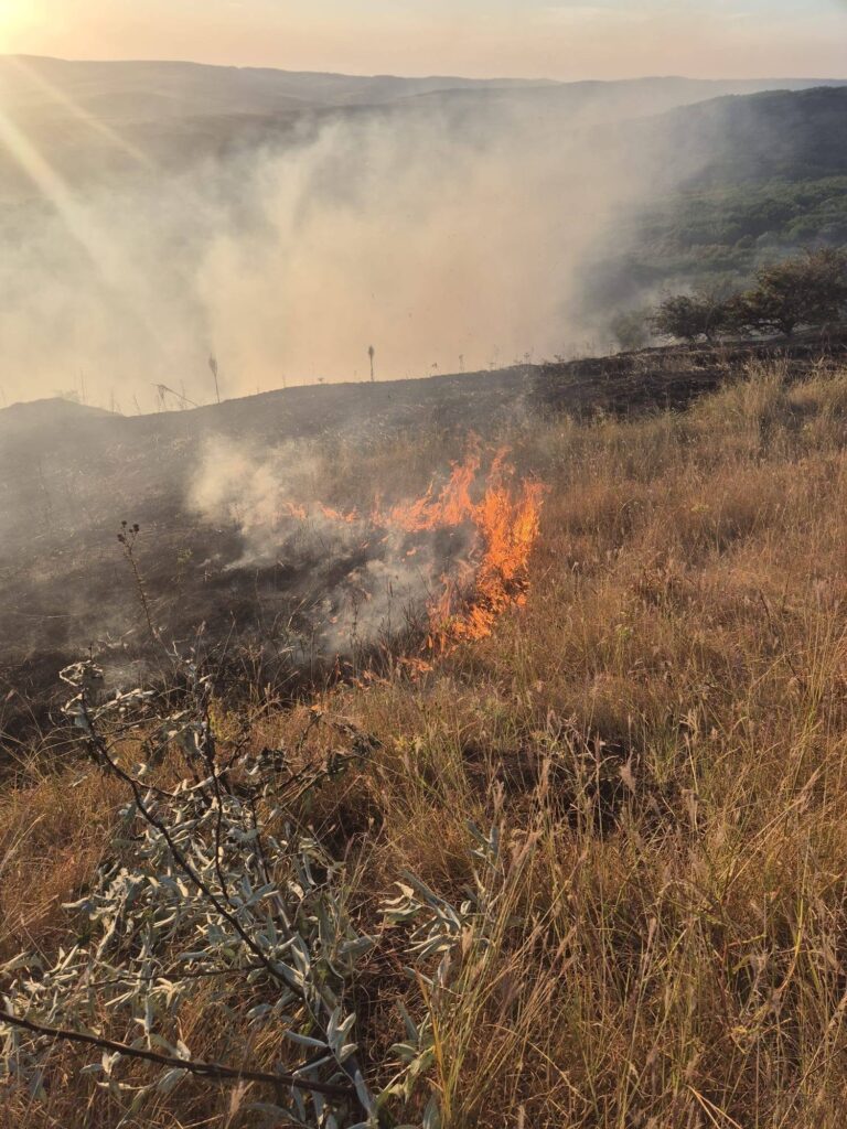 INCENDIU puternic la Bunești-Averești! Primarul Vasile Tărăgan: „Veniți să ajutați la stingerea focului!”