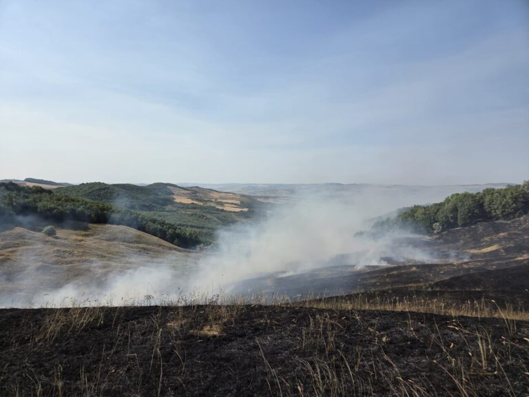 Val de incendii în județul Vaslui. Pompierii au intervenit în mai multe localități, vineri după-amiază